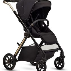 Silver Cross Reef 2 - Ganache