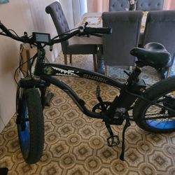 Electric Bike 