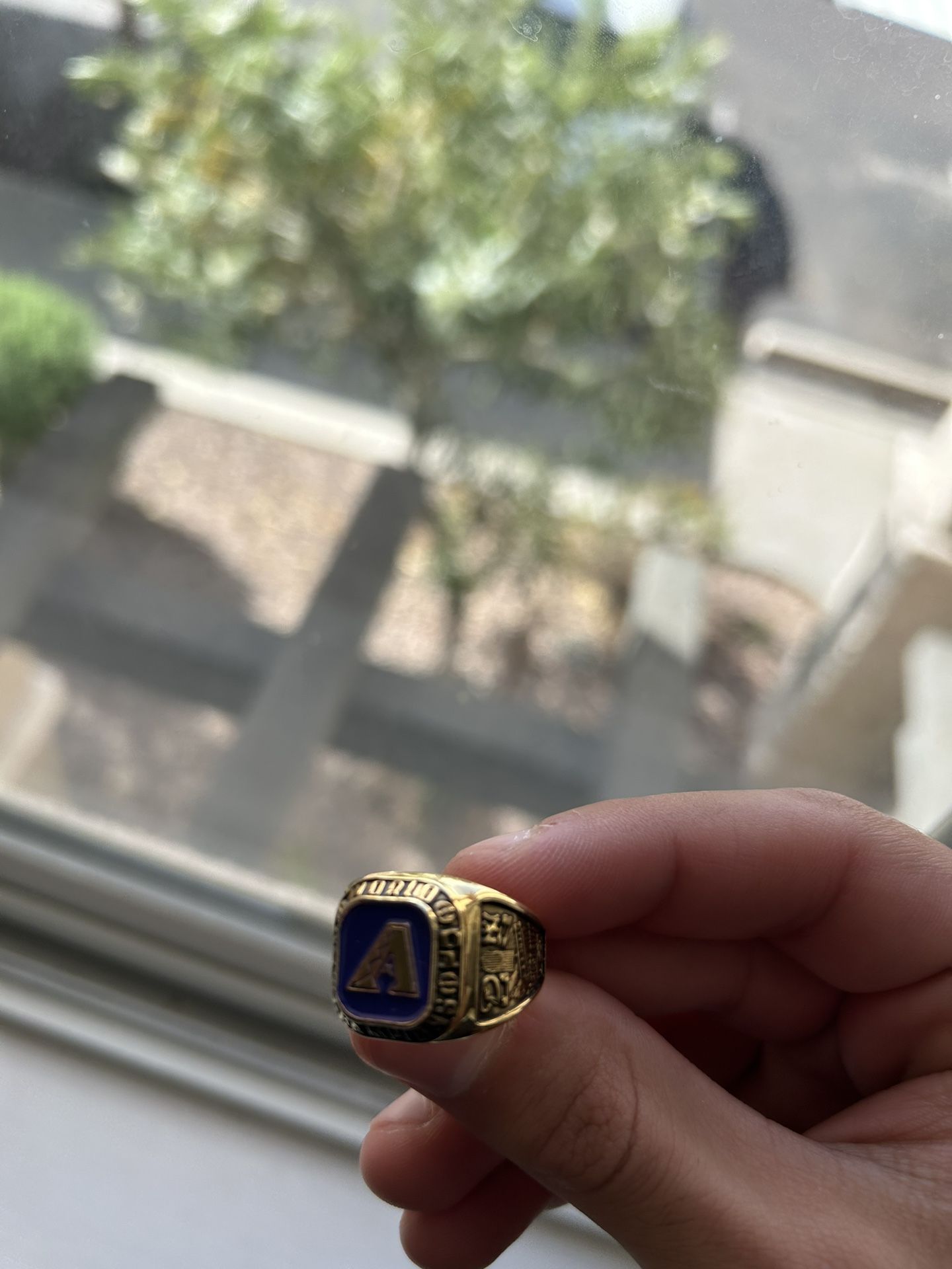 Dbacks Ring