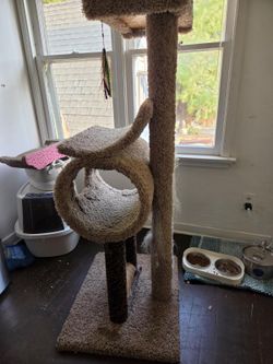 Cat Tree