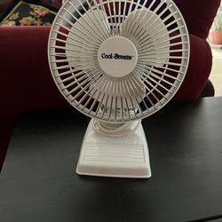 Small Fan