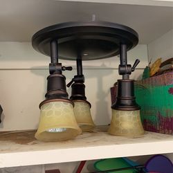 Light Fixture