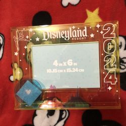 Disneyland Frame 