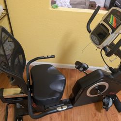 Sunny Exercise Bike