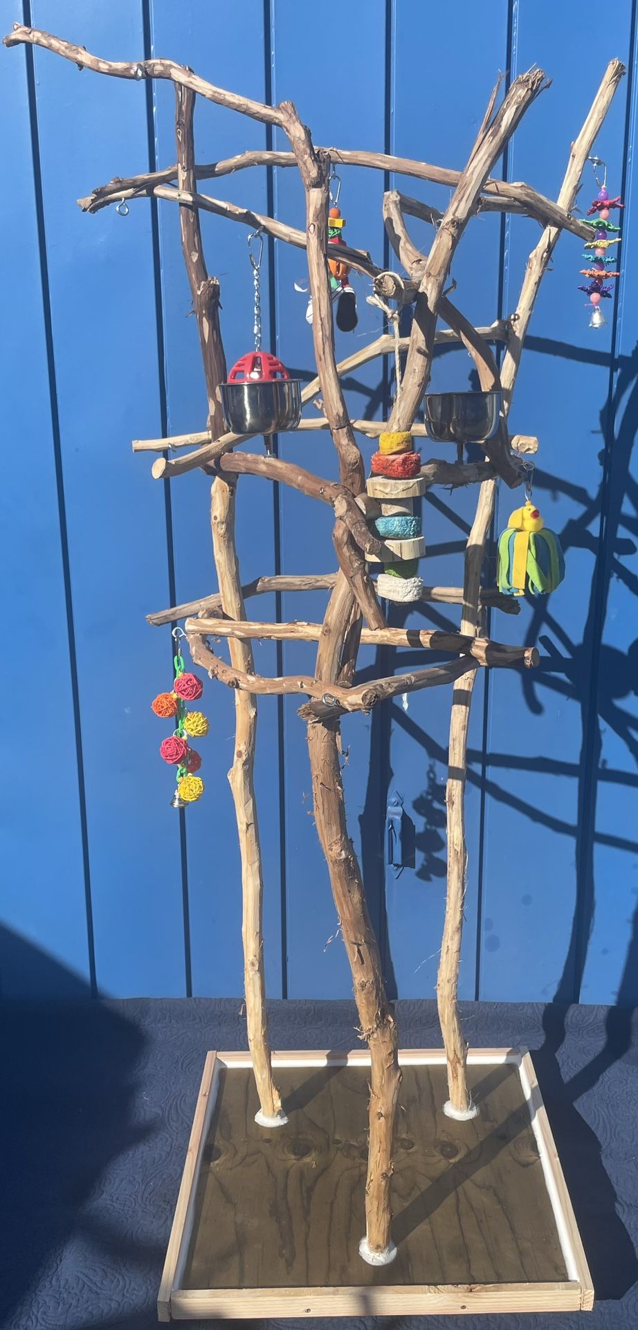 African Grey - Amazon Parrot Perch Tree - A Great Socializer For Mr Feathers !!