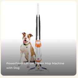 Steam mop