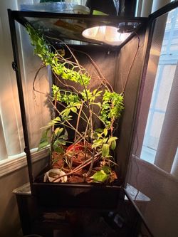 Reptile Enclosure Screen Terrarium with Setup
