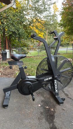 Rogue Echo Bike