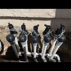 Irrigation / Sprinklers / Drip System / Mulch 