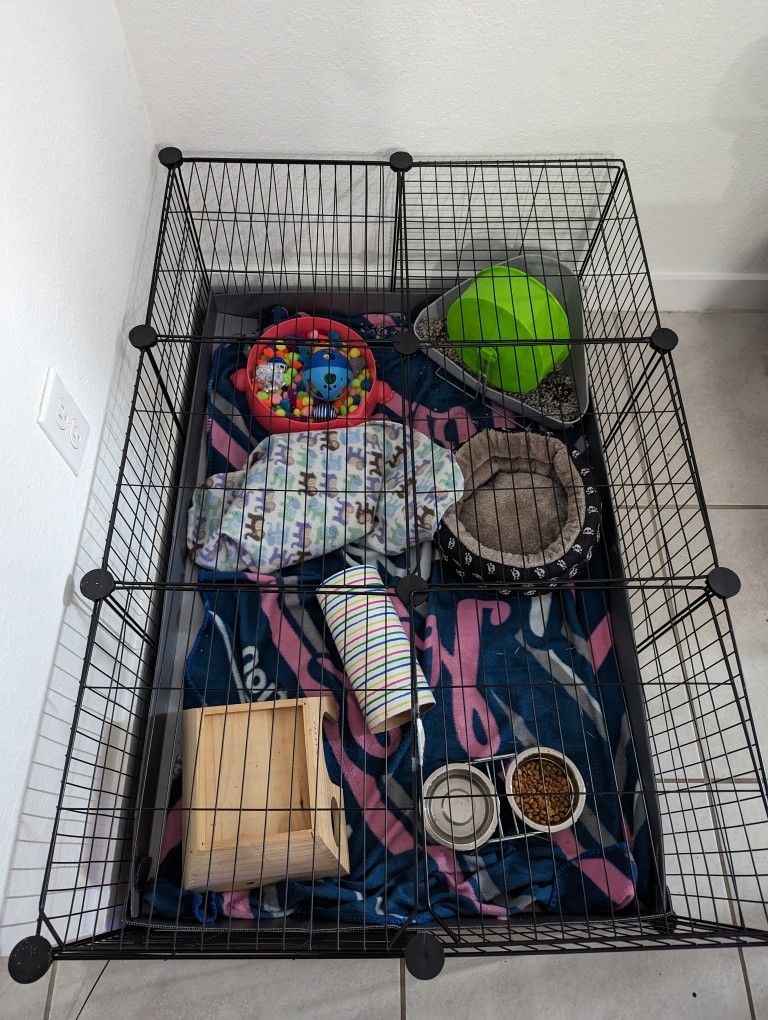 Hedgehog Cage