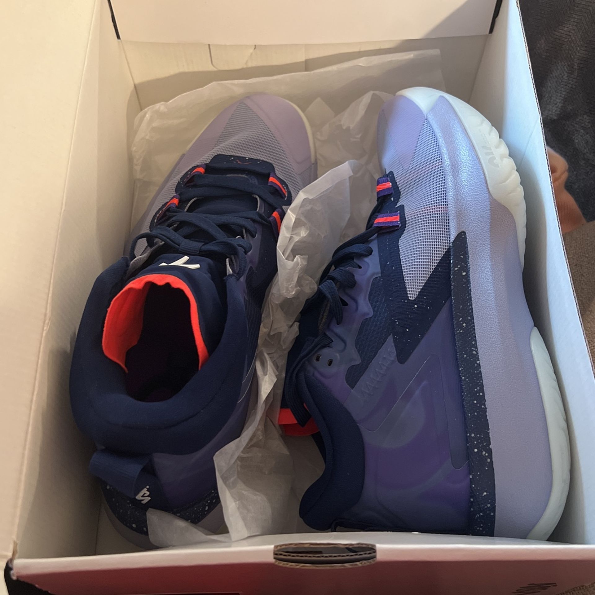 Jordan Zion 1