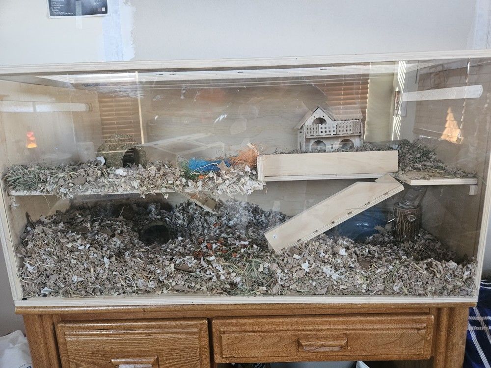 Hamster gerbil Or Other Small Pet Habitat