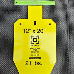 Steel Target.  AR500.  12 X 20