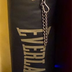 Everlast Elite Punching Bag