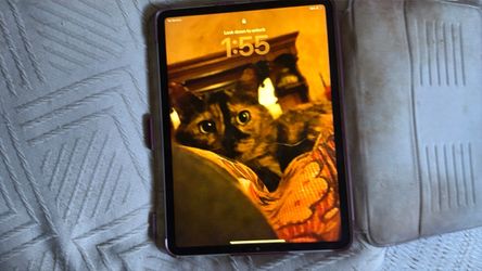 iPad Pro 2021 excellent condition