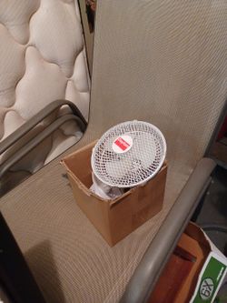 Fans (3)