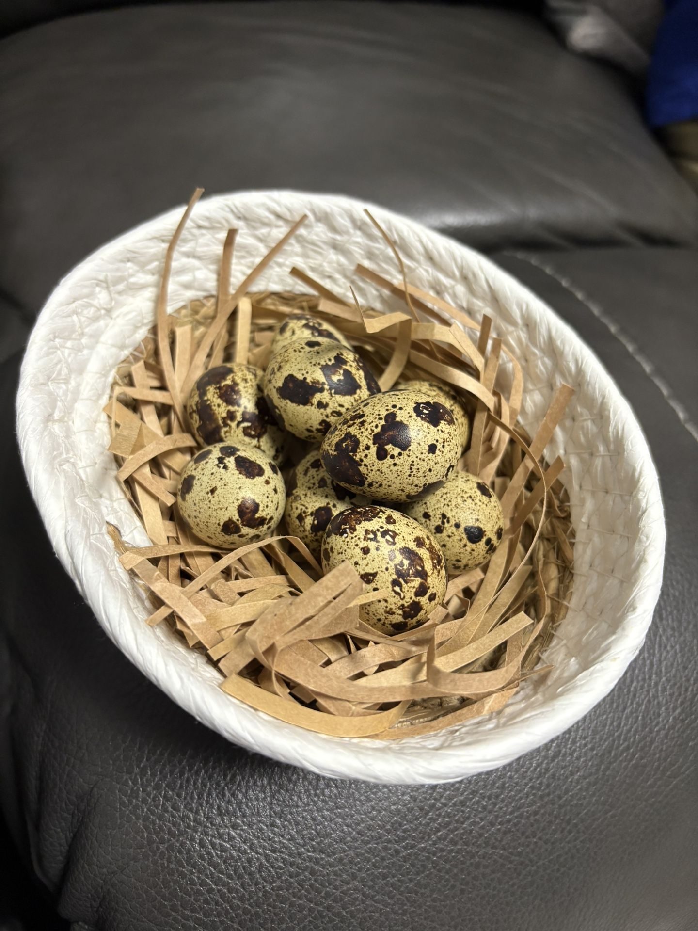 Jumbo Quail Eggs