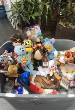Beanie baby collection