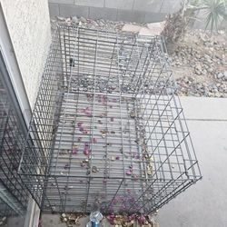 Dog CAGE