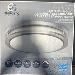 LED Flush Mount 14” Ceiling Light