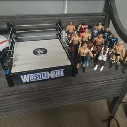 Wwe Lot 