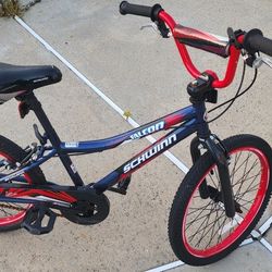 Schwinn Kids Bike 20 Inch