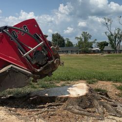 Stump Grinder