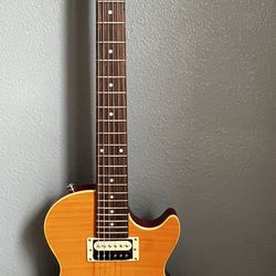 Epiphone Slash AFD LES PAUL SPECIAL