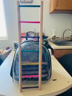 New, cute bird backpack carrier