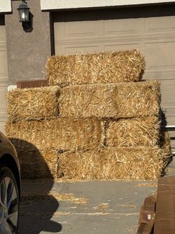 Hay