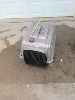 Retriever cat cage