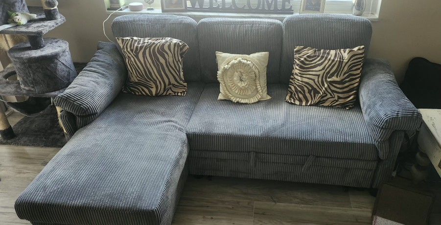 New couch Beautiful corduroy material