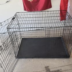 Big dog kennel