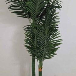 6ft Golden Cane Palm in a 13in (Diameter) Brown Resin Planter @ Lasting Creations