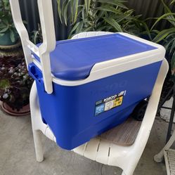 Excellent Condition, Different Sizes Coolers