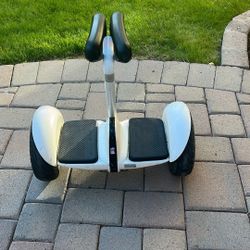 Segway Ninebot  S2 Self Balancing Scooter