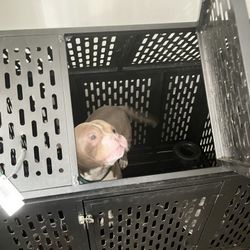 Xl Dog Crate With 2 Doors 