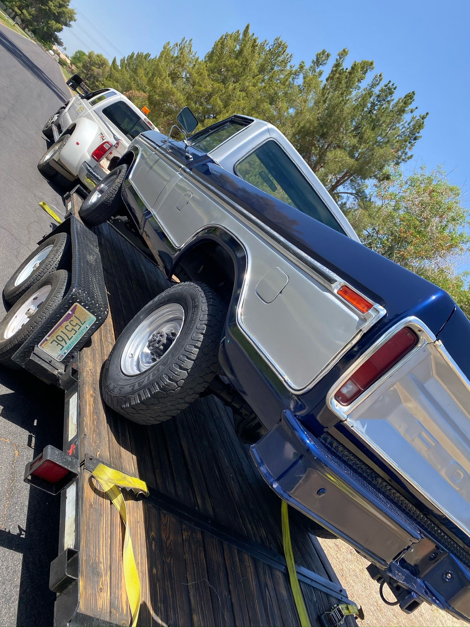 Paint Restoration 