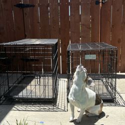 Dog Crate (small & XS)