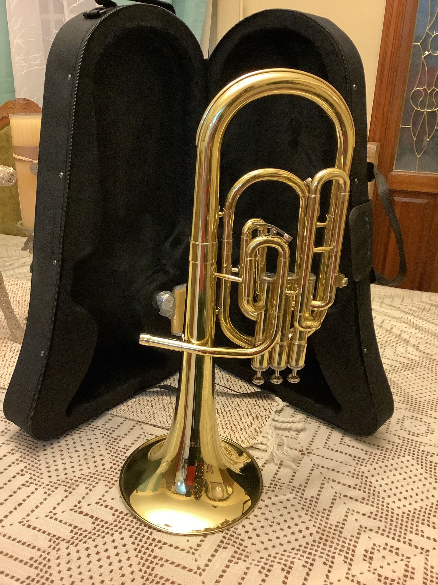 Fever Alto Horn (Charcheta)