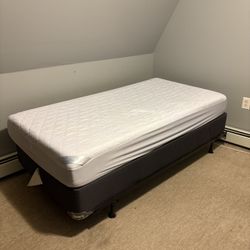 Twin Bed Frame, Twin Box Spring, & Twin Mattress 