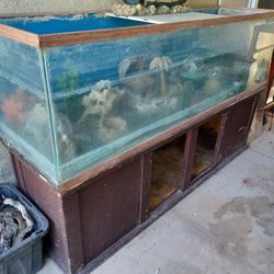 Fish Tank