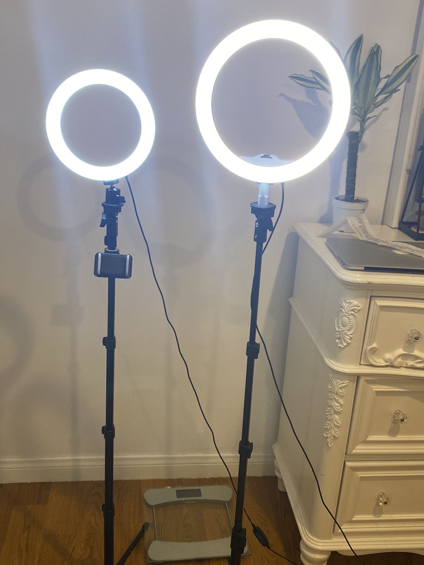 two selfie ring lights (8 inches & 10 inches)