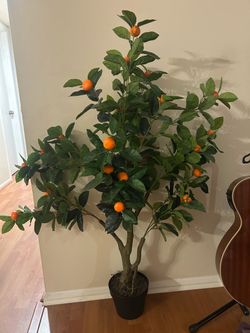 Faux Orange Trwe