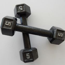 5 lb Cast Iron Hex Dumbbell Unisex, Pair, Gym Fitness Training

