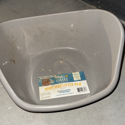 Litter Box Guinea Pig 