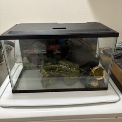 10 gallon Fish Tank 
