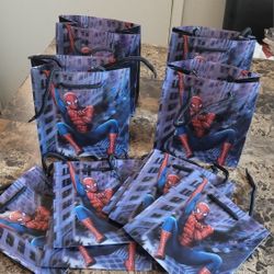 Spiderman Party Favor Goodie Small Gift Bags 10