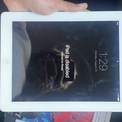Older iPad 