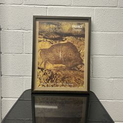 framed print of the Font de Gaume Bison cave painting. 